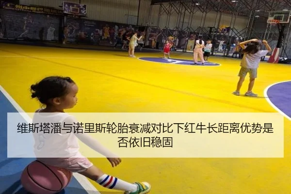 维斯塔潘与诺里斯轮胎衰减对比下红牛长距离优势是否依旧稳固